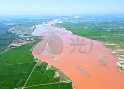 澳门金沙网址 -河套山猫队守住胜果海滨雄鲨队，F1淘汰赛上演裁判判罚引热议！门前嗅觉决定胜负的简单介绍